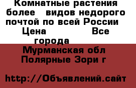 Комнатные растения более200видов недорого почтой по всей России › Цена ­ 100-500 - Все города  »    . Мурманская обл.,Полярные Зори г.